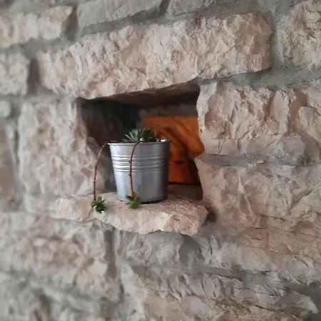 Apartman Neva
